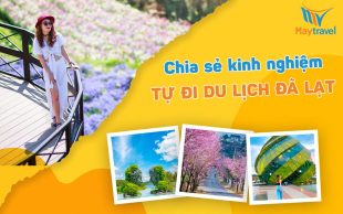 Chia sẻ kinh nghiệm tự đi du lịch Đà Lạt