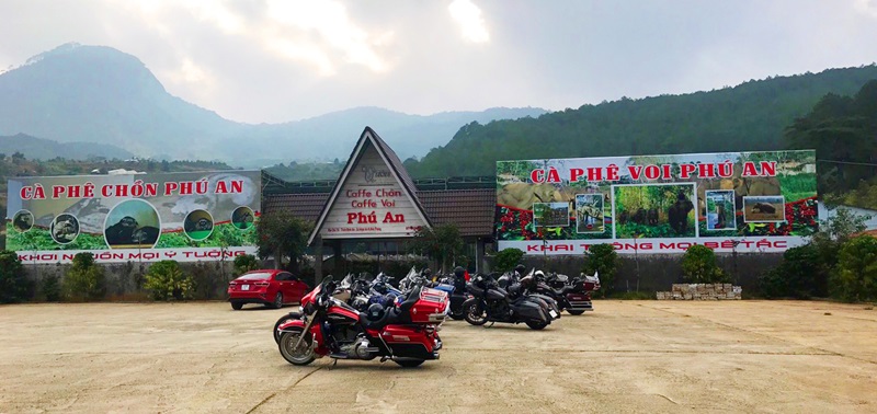 Trang trại cà phê Voi Phú An