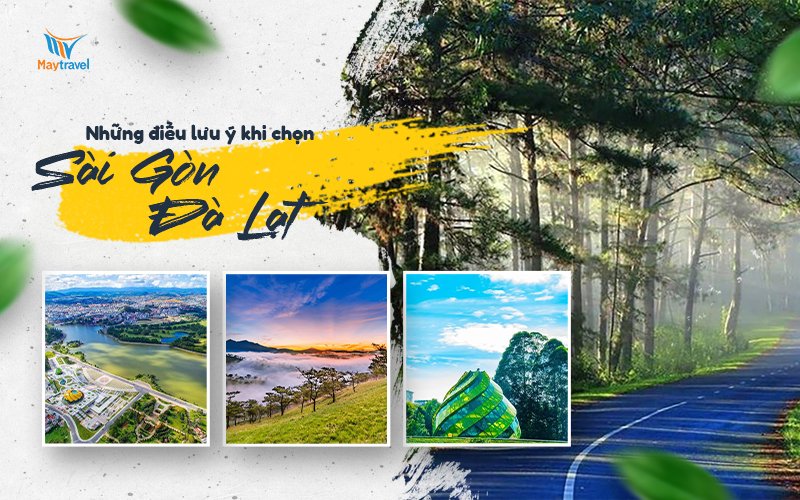 Lưu ý khi chọn tour Sài Gòn Đà Lạt