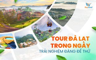 Tour Đà Lạt trong ngày - Trải nghiệm đáng để thử