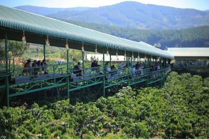 Mê Linh Coffee Garden Đà Lạt: địa điểm uống cafe ngắm view tuyệt đẹp
